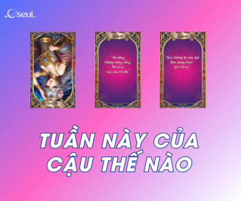 Tuần Này Có Biến Động Gì Không? Vũ Trụ O'Seul Nói Gì Về Bạn Qua 3 Lá Bài Tarot?